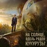 На солнце, вдоль рядов кукурузы