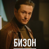 Бизон: Дело манекенщицы (сериал)