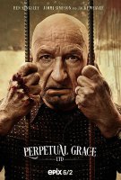 Предприятие «Божий дар» (сериал)
