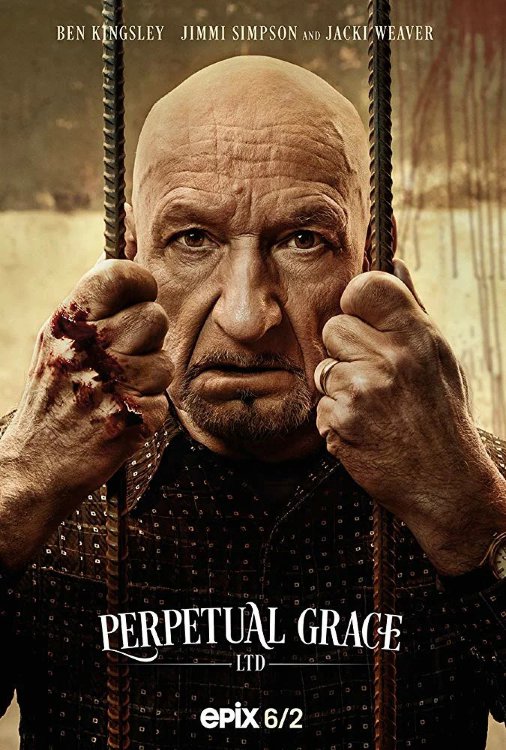 Предприятие «Божий дар» (сериал)