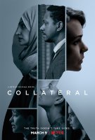 Соучастник (сериал)