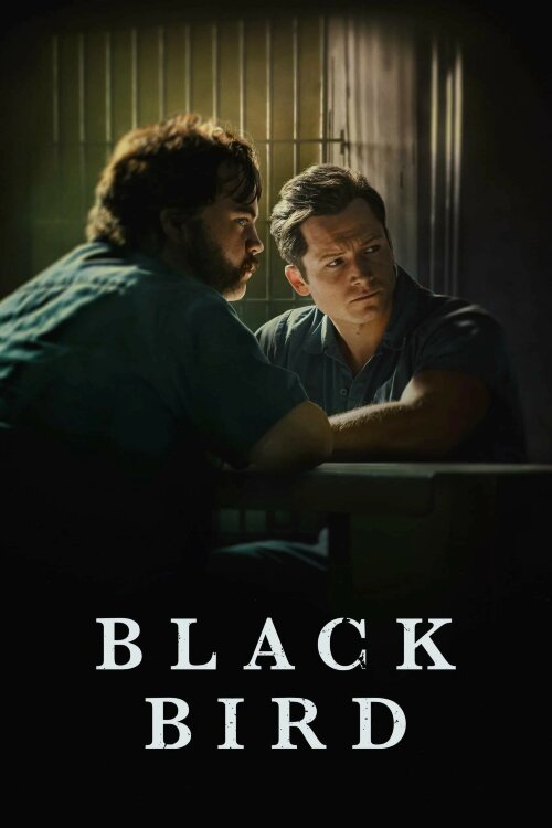 Чёрная птица (сериал)