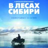 В лесах Сибири