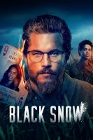 Чёрный снег (сериал)