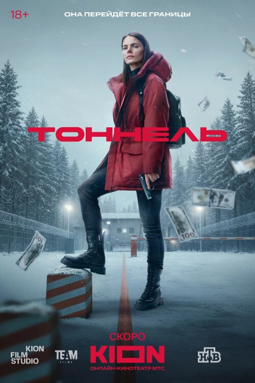 Тоннель (сериал)